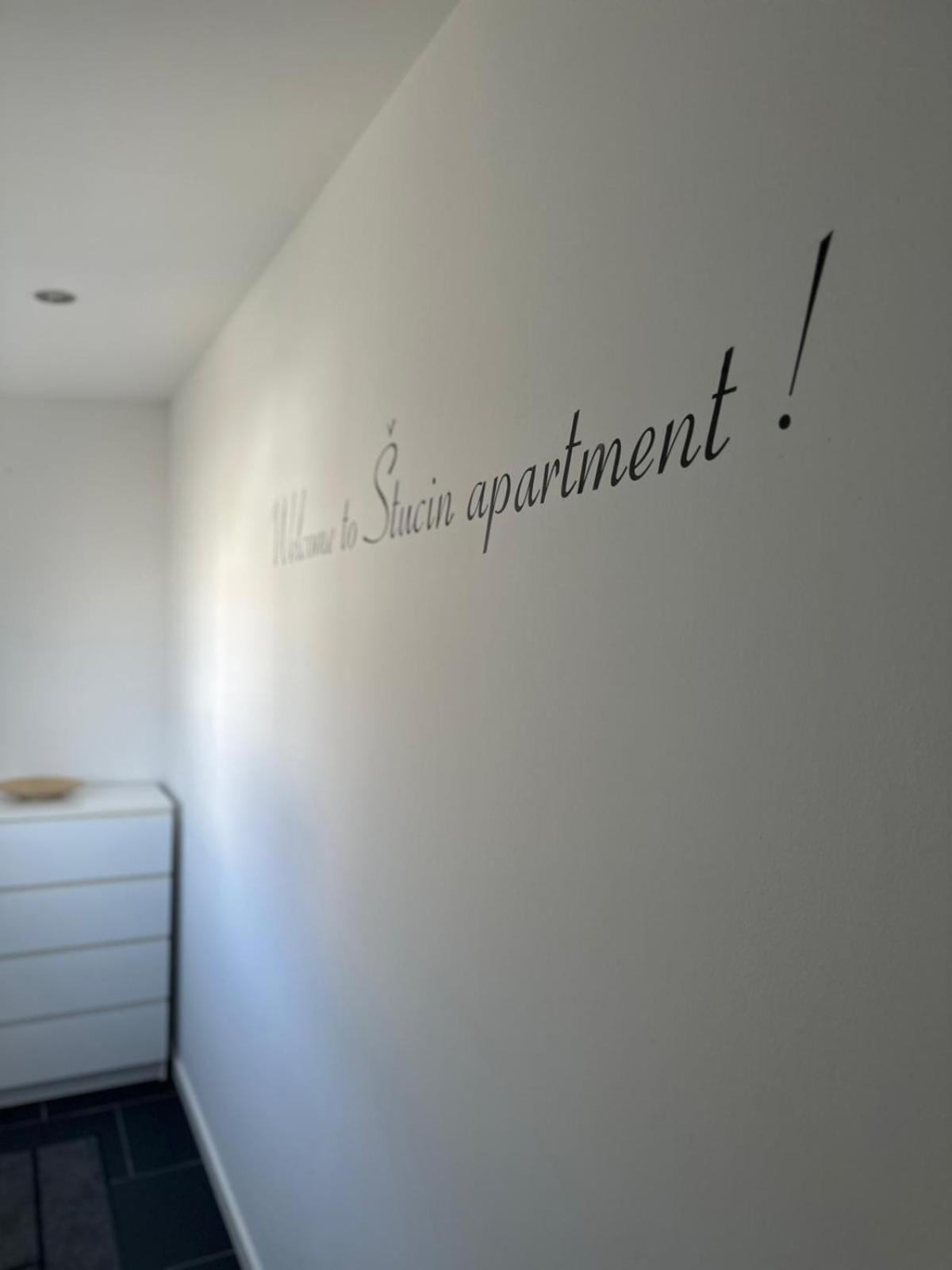 Apartment Stucin Vipava Exteriér fotografie